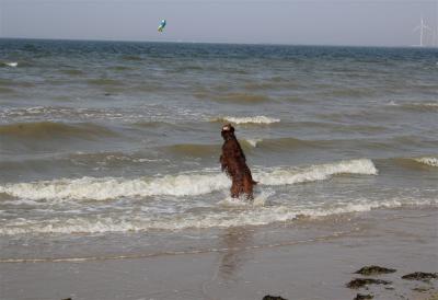 img_0063-wurf_ins_wasser.jpg