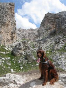 img_1777.jpg