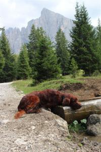 kopie_von_img_2695.jpg