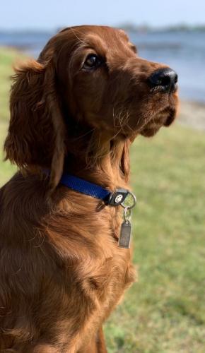 190531-3f-kopfportrait_lilly_i.jpg